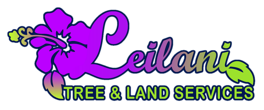 Leilani Tree & Land Services