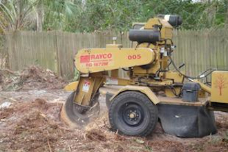 Leilani Tree Services stump grinding