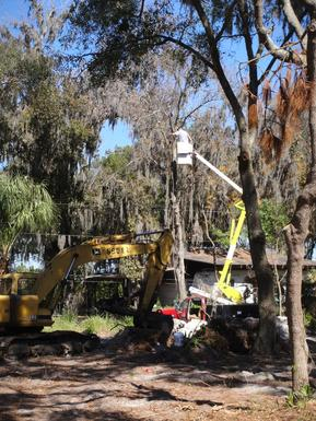 Leilani Tree Services land clearing