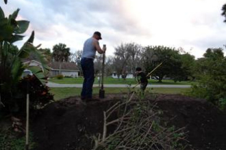 Leilani Tree Services ground work